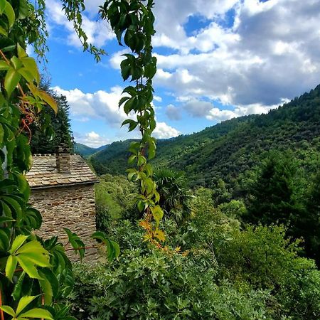 Gite De Combelebouze En Cevennes - Cosy, Confort Et Climatise - 3 Etoiles Saint-Privat-de-Vallongue Экстерьер фото
