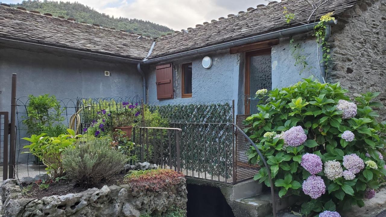 Gite De Combelebouze En Cevennes - Cosy, Confort Et Climatise - 3 Etoiles Saint-Privat-de-Vallongue Экстерьер фото