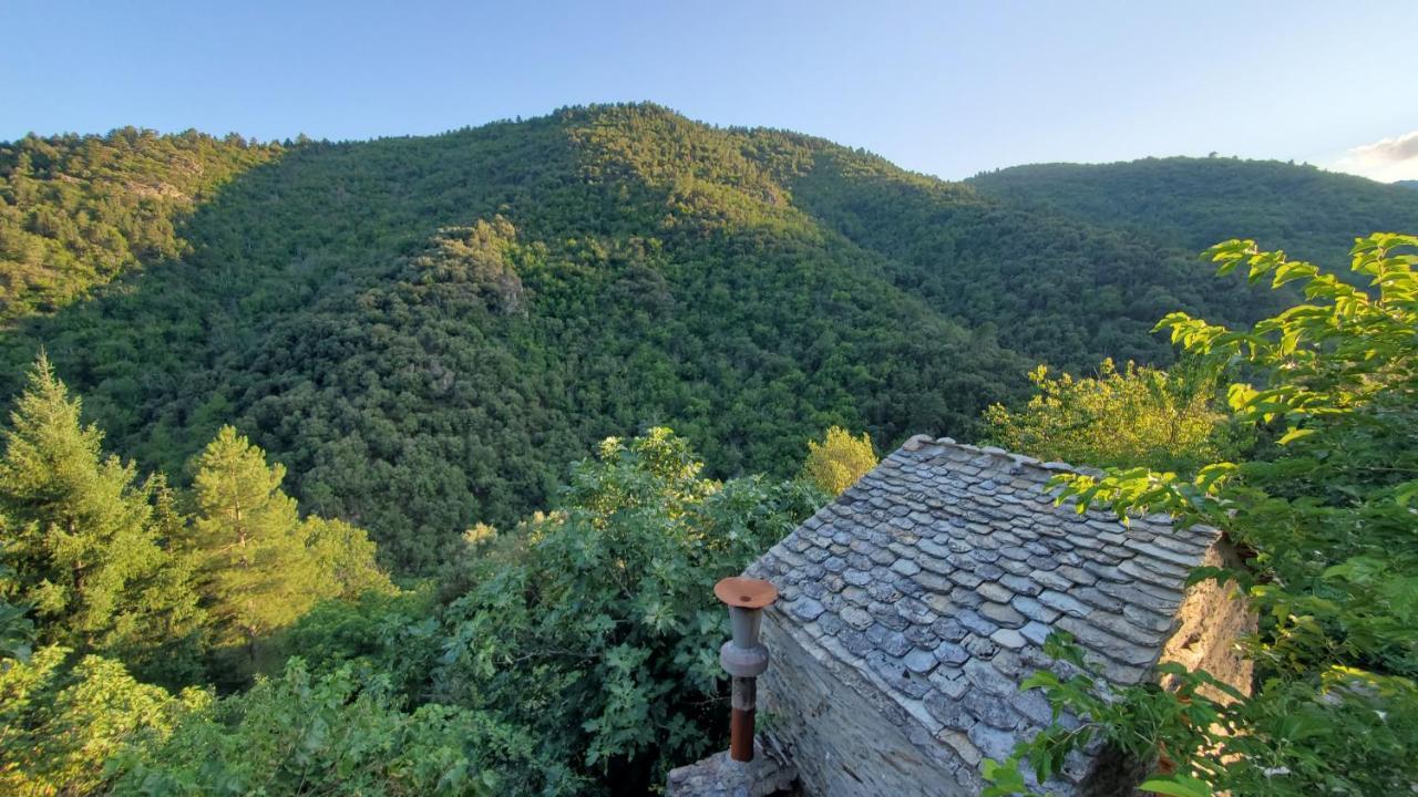 Gite De Combelebouze En Cevennes - Cosy, Confort Et Climatise - 3 Etoiles Saint-Privat-de-Vallongue Экстерьер фото