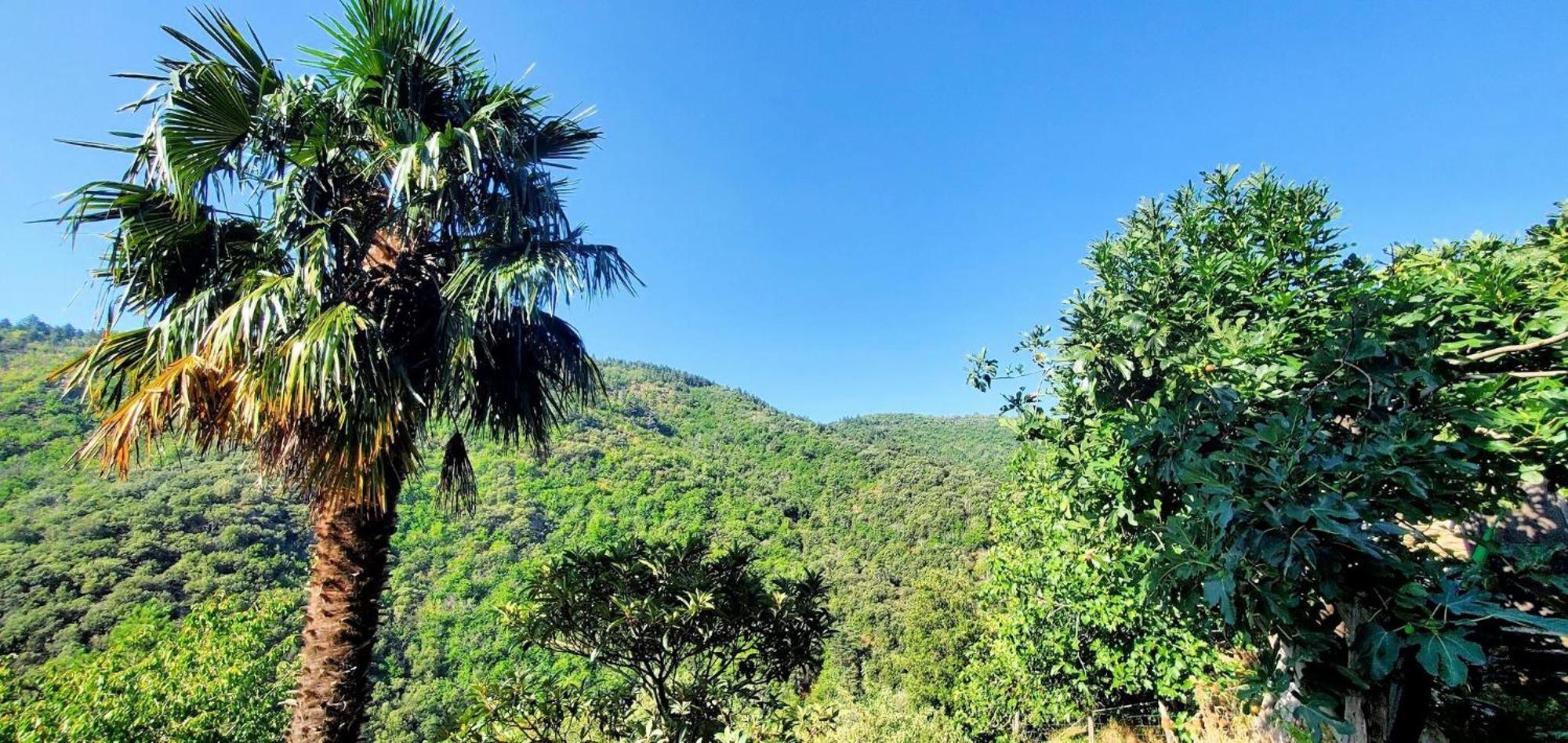 Gite De Combelebouze En Cevennes - Cosy, Confort Et Climatise - 3 Etoiles Saint-Privat-de-Vallongue Экстерьер фото