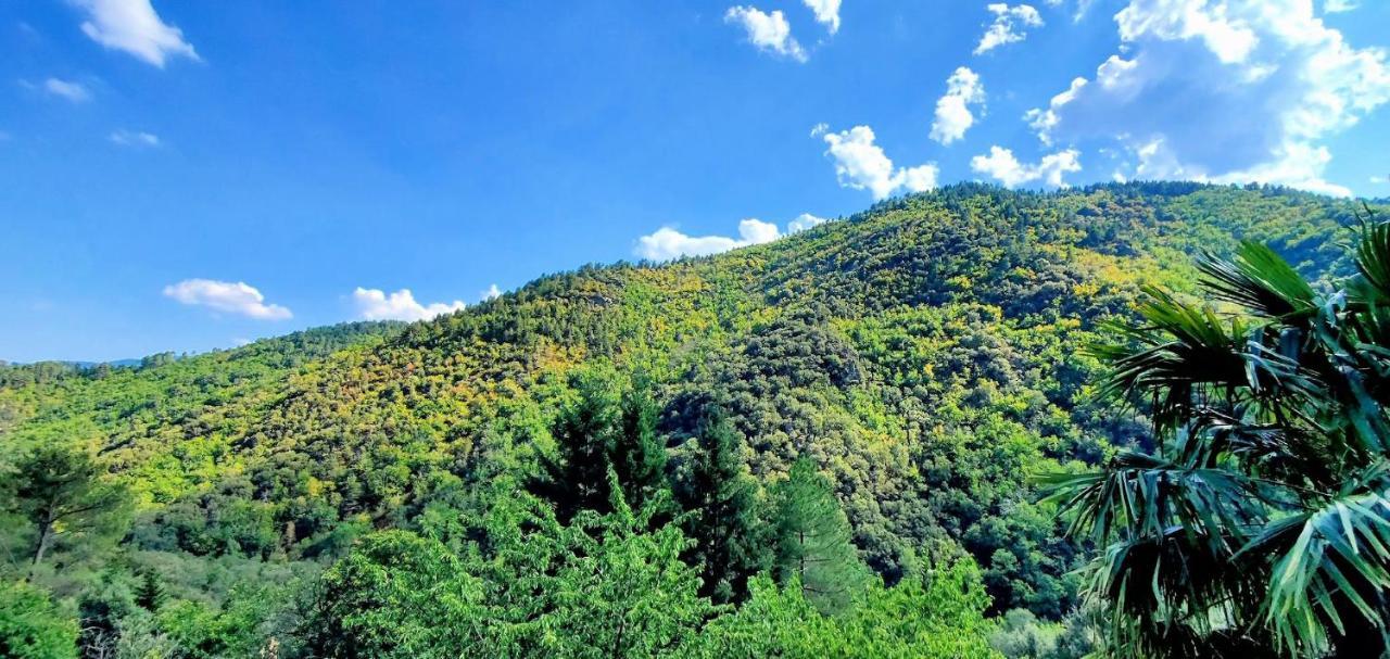 Gite De Combelebouze En Cevennes - Cosy, Confort Et Climatise - 3 Etoiles Saint-Privat-de-Vallongue Экстерьер фото