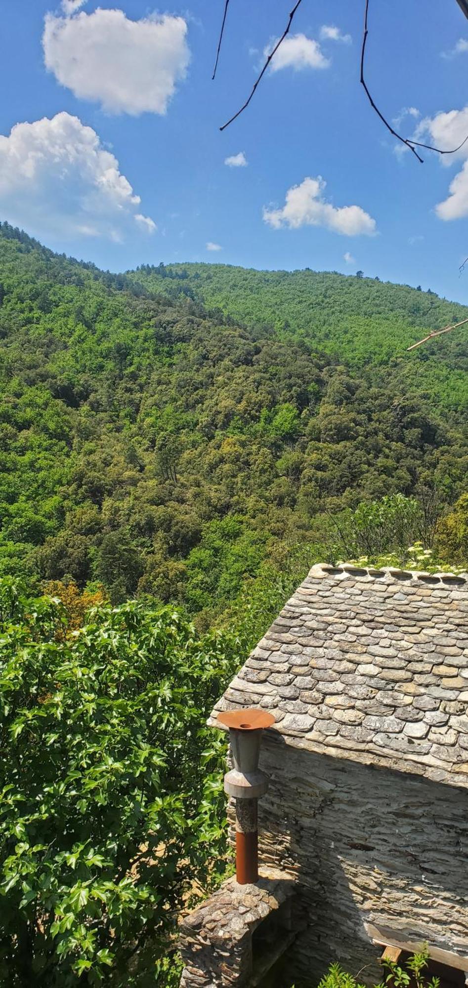 Gite De Combelebouze En Cevennes - Cosy, Confort Et Climatise - 3 Etoiles Saint-Privat-de-Vallongue Экстерьер фото