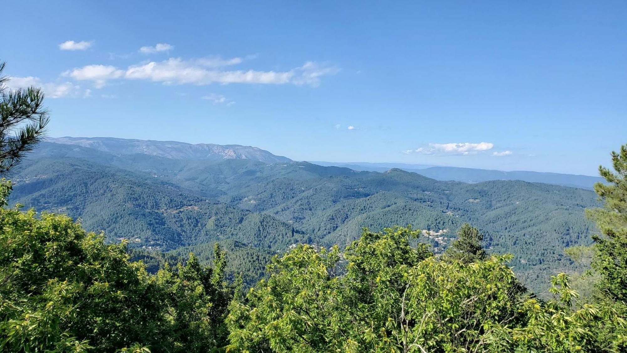 Gite De Combelebouze En Cevennes - Cosy, Confort Et Climatise - 3 Etoiles Saint-Privat-de-Vallongue Экстерьер фото