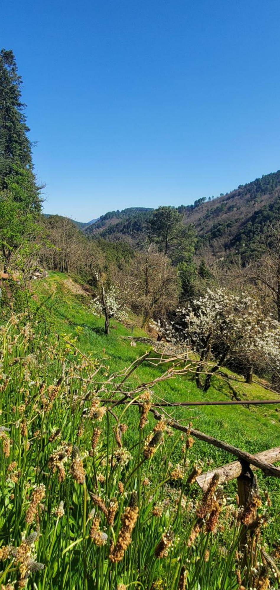 Gite De Combelebouze En Cevennes - Cosy, Confort Et Climatise - 3 Etoiles Saint-Privat-de-Vallongue Экстерьер фото