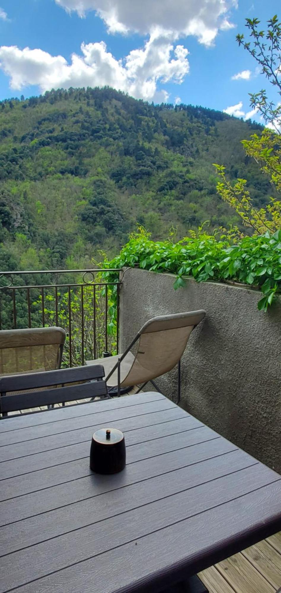 Gite De Combelebouze En Cevennes - Cosy, Confort Et Climatise - 3 Etoiles Saint-Privat-de-Vallongue Экстерьер фото